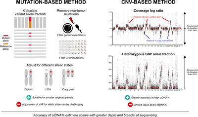 Towards clinical implementation of circulating tumor DNA in metastatic prostate cancer: Opportunities for integration and pitfalls to interpretation